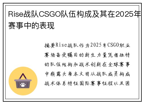 Rise战队CSGO队伍构成及其在2025年赛事中的表现